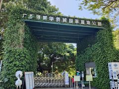 -华侨城湿地公园