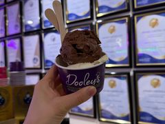 -Dooley's Premium Ice Cream