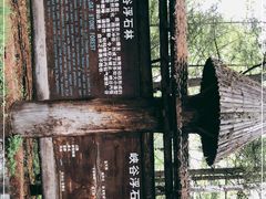 -峡谷浮石林景区