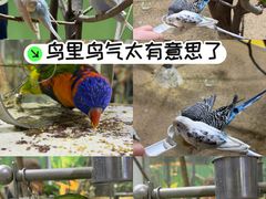 -上海大自然野生昆虫馆(东方明珠·爬宠昆虫探索中心)