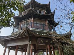 -杭州半山国家森林公园