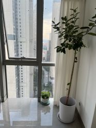 -颜续美容美体