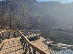 -白水寺森林公园