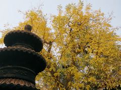 -湘子庙