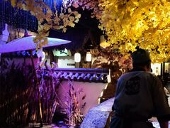 -淀里船宴(裕华东路店)