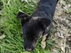 -中央广播电视总台(光华路办公区)