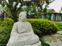 -洪湖家庭农场·团建·露营·会议