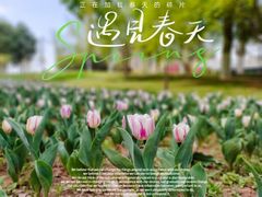 -陕西省西安植物园