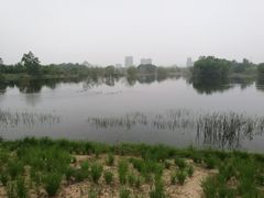 -白浮泉公园