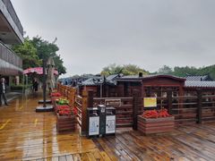 -大湾区中央湿地公园