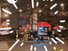 -新疆阿力烧烤