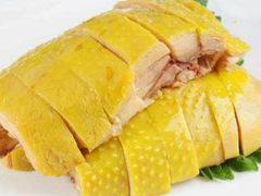 -九斤黄三黄鸡专卖店