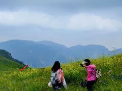 -灵山