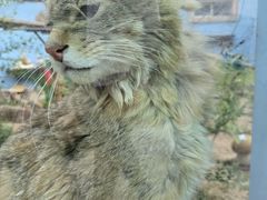 -青藏高原野生动物园