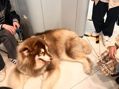 -凯德广场(武胜路店)