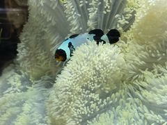 -嘉兴海底世界