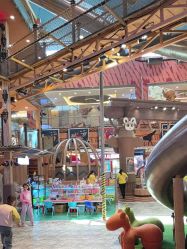 -卡通尼·Safari非洲探索乐园·生日会(金桥国际商业广场店)