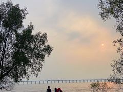 -宝安西湾红树林湿地公园