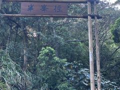 -广州市帽峰山景区