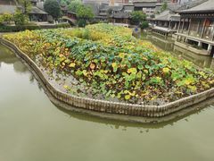 -龙潭水乡