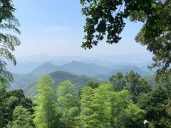 -莫干山风景区
