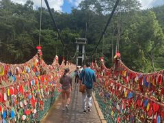 -西双版纳原始森林公园