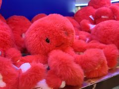 -上海海洋水族馆