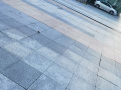 -海底捞火锅(金光华店)