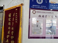 -宠爱国际动物医院·消化内科·心肾内科·ISFM猫友好(望京店)