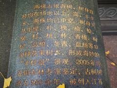 -圆通寺