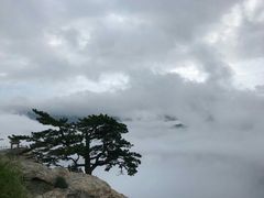 -华山风景名胜区-苍龙岭