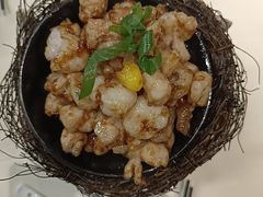 鸡里蹦-丁老爷子苏香圆