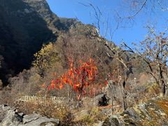 -叠溪松坪沟景区