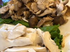 -野菌皇海景野生菌火锅(滨海大道店)
