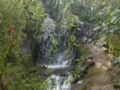景点-南诏风情岛