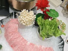 -一品粤珍轩(吴中路店)