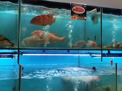 -南海渔家•海鲜•正宗海南菜(海棠湾店)