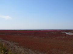 -红海滩国家风景廊道