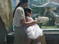 -合肥海洋世界