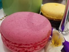 -PAUL LAFAYET 法式甜品(港汇广场店)