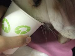 -北京观赏动物医院·24小时大型综合·猫专科·异宠专科