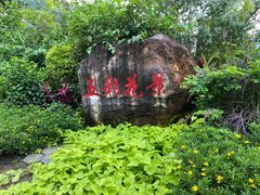 -广州市流溪河国家森林公园