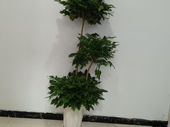-君之狮子山·轻糖烘焙(松江印象城店)