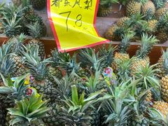 -明辉果业(章家巷小区延长西路526弄店)