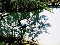 -上海醉白池公园