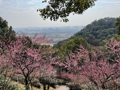 -宁波市保国寺古建筑博物馆