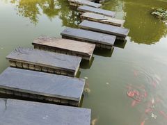 -洪湖悦兮半岛国际温泉度假村