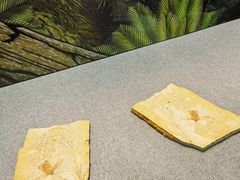 -辽宁省博物馆