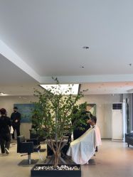 -付军剪艺JF ProSalon
