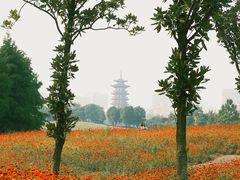 -洋湖国家湿地公园